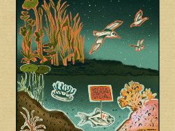 México es el segundo país con más sitios Ramsar en el mundo, con 144 humedales de importancia internacional. CORTESÍA/Jenny Moreno