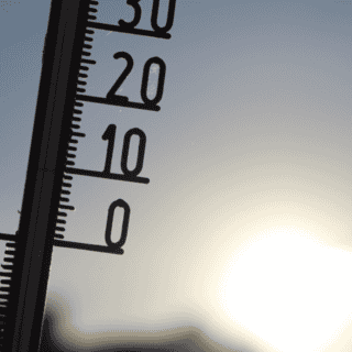 Suman 12 víctimas mortales por temporada de calor en Sonora