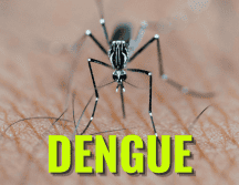 El fortalecimiento de la estrategia estatal contra el dengue ha dado como resultado la reducción de casos en la región. ESPECIAL