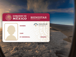 La tarjeta que brinda el Instituto Nacional de las Personas Adultas Mayores (Inapam) es uno de los apoyos dirigidos a personas de la tercera edad en México. ESPECIAL