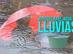 Estos son algunos tips a tomar en cuenta para aprovechar el agua de la lluvia. EL INFORMADOR / ARCHIVO