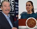 Esta mañana, Claudia Sheinbaum se refirió a la publicación de Vicente Fox como "Es un expresidente de la derecha mexicana, [...] decía [Carlos] Monsaiváis y la repetía López Obrador 