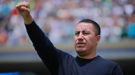 los Pumas intentarán 