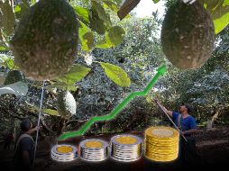 Especialistas esperan un desempeño más modesto hacia adelante, debido en parte a la creciente incertidumbre que ha generado la política comercial proteccionista EU, principal destino de las exportaciones mexicanas. ESPECIAL / SUN y CANVA