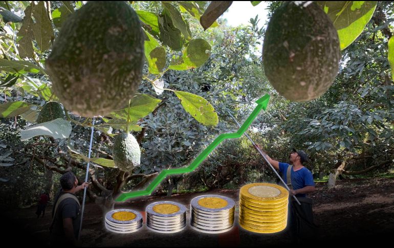 Especialistas esperan un desempeño más modesto hacia adelante, debido en parte a la creciente incertidumbre que ha generado la política comercial proteccionista EU, principal destino de las exportaciones mexicanas. ESPECIAL / SUN y CANVA