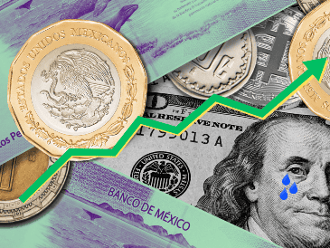 Recuerda que la cotización del dólar cambia a lo largo del día, por lo que su precio final de compra y venta puede variar. ESPECIAL / Canva