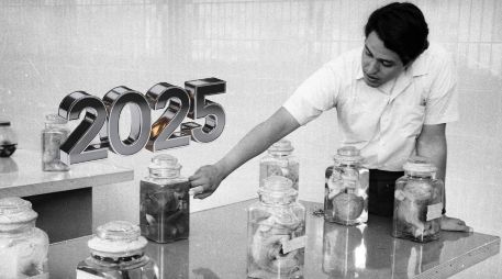 Un embrión de 1994 acaba de nacer en 2025; esta es su historia. EL INFORMADOR / ARCHIVO