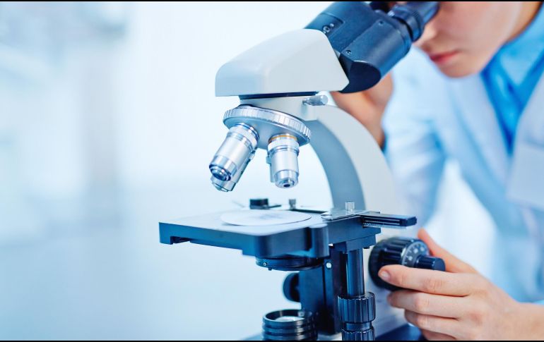 Durante la investigación, los aromas femeninos también parecían reducir el estrés al percibirlos. ESPECIAL / CANVA