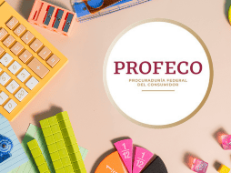 Durante el mes de agosto se realizarán 41 Ferias de Regreso a Clases en distintos puntos del país. ESPECIAL