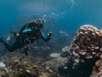 “Un mundo sin corales es una pesadilla desconocida”