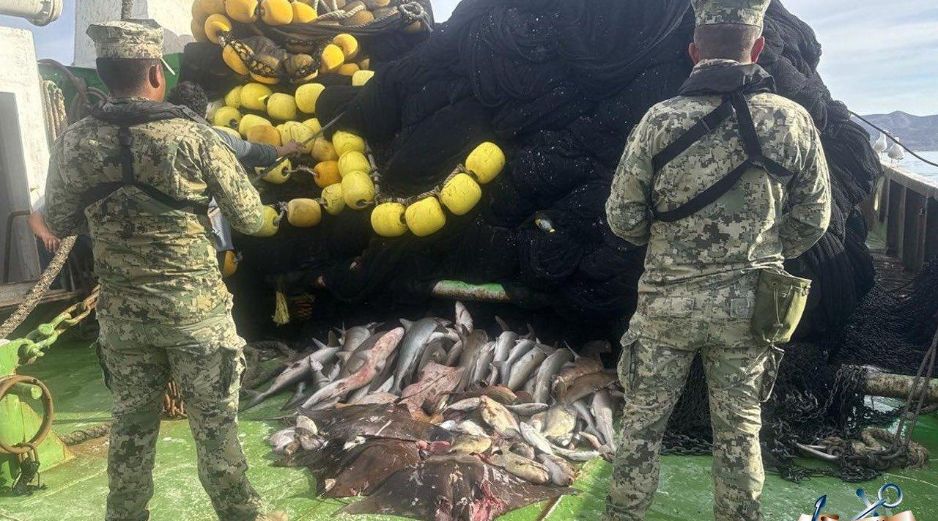 En diversos estados como Jalisco se efectuó ese decomiso como parte de los operativos de inspección y vigilancia. ESPECIAL/X @SEMAR_mx