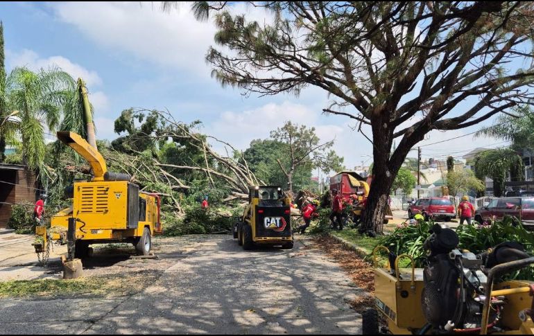 Elementos de Protección Civil y Bomberos de Zapopan atienden distintas afectaciones en el AMG por caídas de árboles. ESPECIAL / FACEBOOK Protección Civil y Bomberos de Zapopan