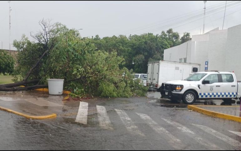 Se busca rehabilitar con prontitud las vialidades que han quedado dañadas u obstruidas tras los derrumbes. ESPECIAL / Policía Vial de Jalisco