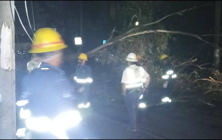 Las autoridades informaron que se trabaja conforme a un plan jerárquico en el que se busca dar prioridad a vialidades centrales del municipio. ESPECIAL / FACEBOOK Policía Vial Jalisco