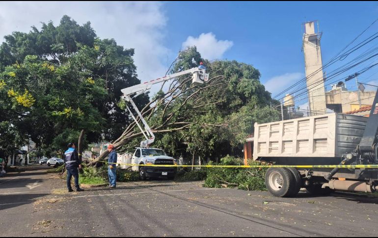 En este momento, se realizan labores de rehabilitar vialidades en cinco colonias de Zapopan. ESPECIAL / FACEBOOK Gobierno de Zapopan