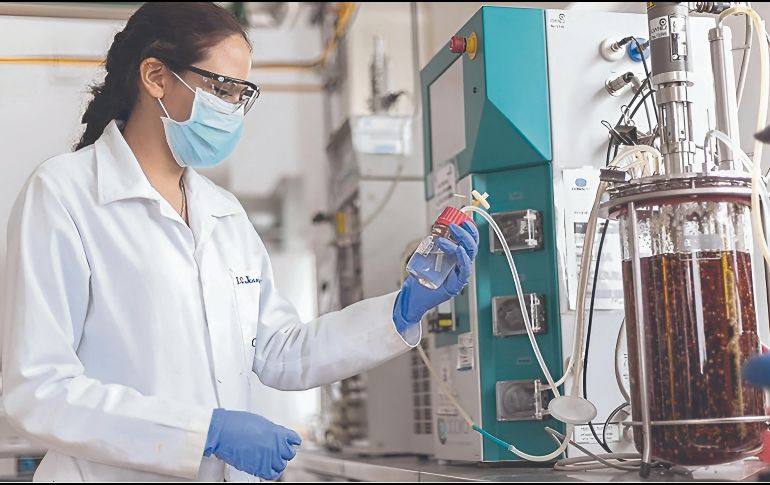 Carreras tecnológicas como IA, robótica y biotecnología lideran la demanda laboral en un mundo digitalizado. ESPECIAL