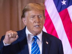 La intención de anunciar estos aranceles, es forzar a que esos componentes de alta tecnología se fabriquen en Estados Unidos. EFE / ARCHIVO