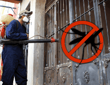 El dengue es una enfermedad viral febril que se transmite por la picadura de un mosquito hembra del género aedes aegypti que esté infectado con alguno de los 4 serotipos del virus. EL INFORMADOR / ARCHIVO