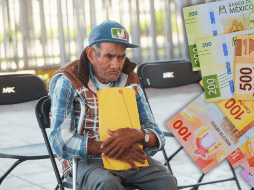 Estos datos pueden ser útiles para diseñar políticas públicas y servicios financieros que respondan mejor a sus necesidades. EL INFORMADOR / ARCHIVO