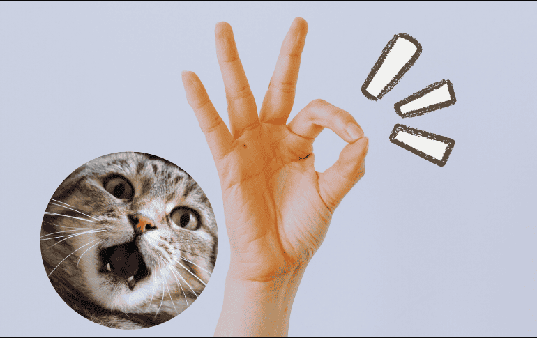 Nuestro cuerpo, nuestra voz y nuestro espacio tienen mucho que decir, aunque no emitamos una sola palabra. ESPECIAL / Canva