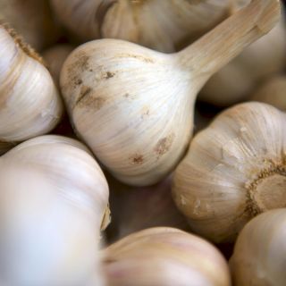 Estos son los riesgos por el consumo excesivo de ajo