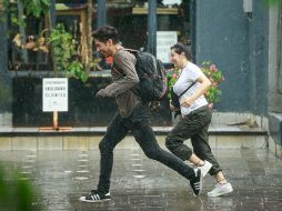 El pasado domingo se registró una fuerte tormenta, que dejó graves afectaciones como inundaciones y varias decenas de árboles caídos en la ciudad. EL INFORMADOR/ ARCHIVO