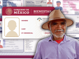 Así puedes solicitar la reposición de la credencial del Inapam en casos de pérdida, robo, daño severo o si se requiere actualizar los datos. ESPECIAL