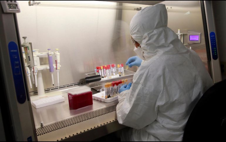 Con miles de casos confirmados, este parece ser el mayor brote de chikungunya documentado en China. EL INFORMADOR / ARCHIVO