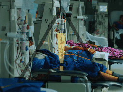 Actualmente, la tendencia a consumir suplementos sin una evaluación médica previa se ha vuelto más común, impulsada por modas en redes sociales y recomendaciones sin base científica. EL INFORMADOR / ARCHIVO