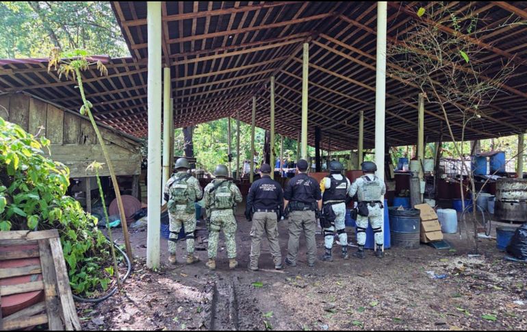 Lo decomisado fue puesto a disposición del Ministerio Público Federal (MPF) y de la Fiscalía Federal en el Estado de Chiapas. CORTESÍA/ Fiscalía General de la República