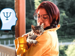 ¿Qué es la terapia asistida con gatos? UNSPLASH / M. ELÍAS