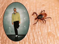 Thalia, Justin Bieber y Justin Timbarlake son algunos de los famosos que padecen la enfermedad de Lyme. ESPECIAL/Facebook @Justin Timberlake