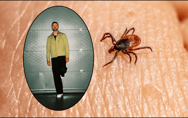 Thalia, Justin Bieber y Justin Timbarlake son algunos de los famosos que padecen la enfermedad de Lyme. ESPECIAL/Facebook @Justin Timberlake