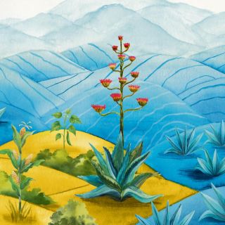 “De ciertos azules”, un documental dedicado a nuestros bosques