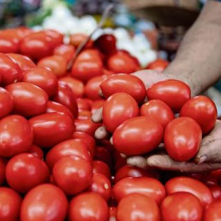 México fija precios mínimos del jitomate para exportación