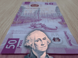 La cotización del peso frente al dólar varía durante el día, por lo que es importante mantenerse informado. EL INFORMADOR / O. Álvarez