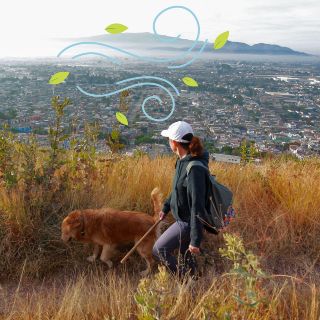 Esta zona del AMG presenta MALA calidad HOY martes 12 de agosto de 2025