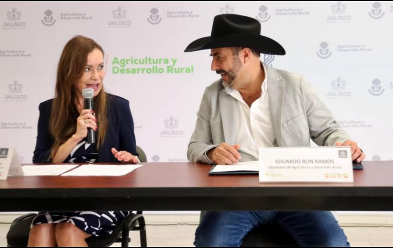 Las cuatro ferias en las que van a participar con Foodex en Japón, Frut atraction en Madrid, España; Global Production en Anaheim, California y Asia Frut en Hong Kong. ESPECIAL