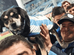 Su dueño, Pablo Vázquez, relató que todo comenzó casi por casualidad, cuando el perro asistió a un encuentro y, desde ese día, no dejó de acompañar al equipo en cada jornada. INSTAGRAM / el_porqueriadkno
