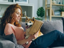 Hablar con los perros es una práctica común entre millones de personas en todo el mundo. UNSPLASH.