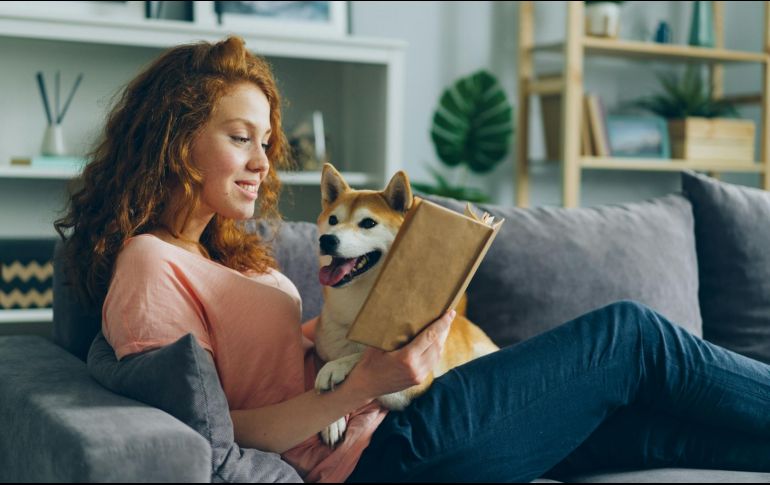 Hablar con los perros es una práctica común entre millones de personas en todo el mundo. UNSPLASH.