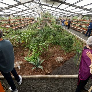 Descubre la riqueza del mundo desde un jardín