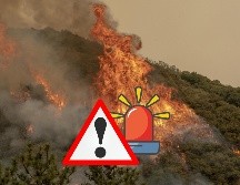 El Incendio Gifford, el mayor incendio de California hasta ahora este año, ha arrasado al menos 528 kilómetros cuadrados de los condados de Santa Bárbara y San Luis Obispo desde que estalló el 1 de agosto. EFE / ARCHIVO