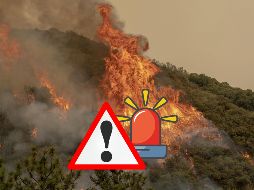 El Incendio Gifford, el mayor incendio de California hasta ahora este año, ha arrasado al menos 528 kilómetros cuadrados de los condados de Santa Bárbara y San Luis Obispo desde que estalló el 1 de agosto. EFE / ARCHIVO