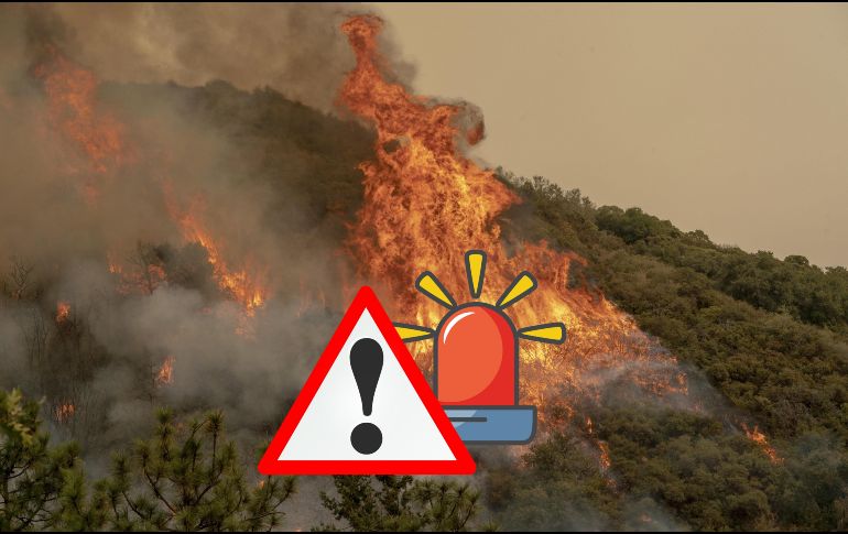 El Incendio Gifford, el mayor incendio de California hasta ahora este año, ha arrasado al menos 528 kilómetros cuadrados de los condados de Santa Bárbara y San Luis Obispo desde que estalló el 1 de agosto. EFE / ARCHIVO