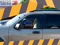 Los cuerpos corresponden a 7 hombres encontrados en diferentes localidades de los municipios de Culiacán, Navolato y Mocorito. AFP / ARCHIVO