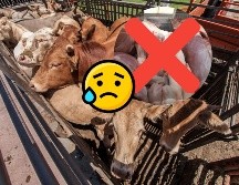 Esto podría recuperarse si se sustituye el 70% del consumo de carne roja a nivel mundial. EL INFORMADOR / ARCHIVO