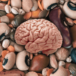 El alimento muy mexicano que cuida al cerebro