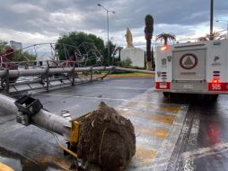 Poste caído en Tlalnepantla a causa de tormenta. El clima lluvioso prevalecerá en todo el país. SUN/V. Rosas
