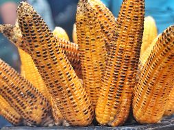 Disfruta de la diversidad de alimentos que se pueden preparar con este alimento ancestral en la Feria del elote. Unsplash
